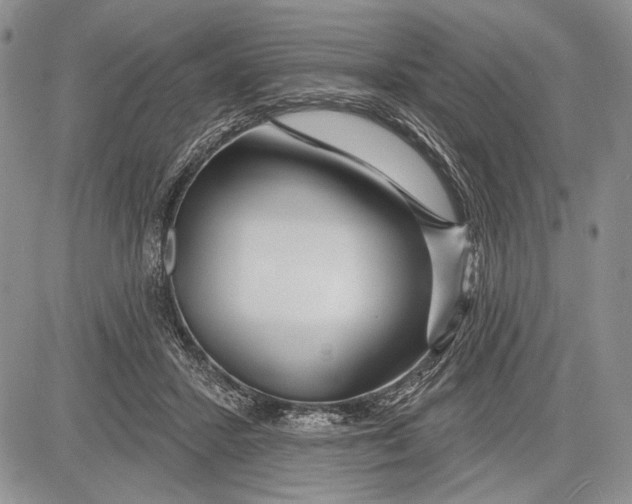 X0000081560407200702051154