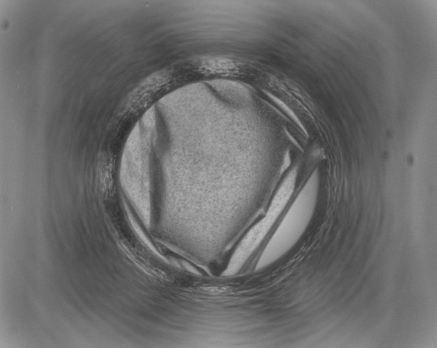 X0000081560408200702051154