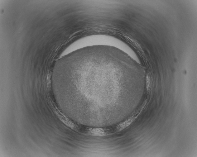 X0000081560409200702051154