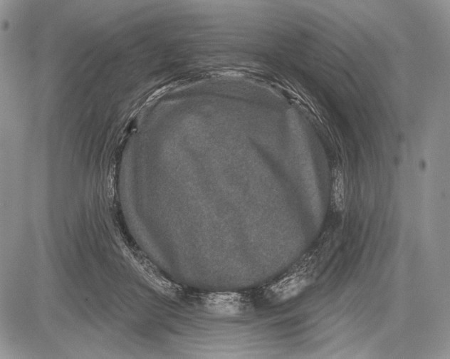 X0000081560410200702051154