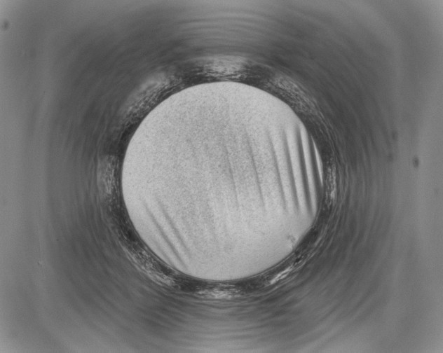 X0000081560412200702051154