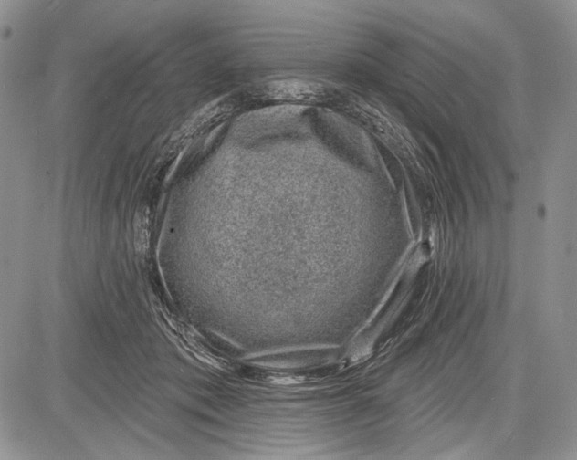 X0000081560413200702051154