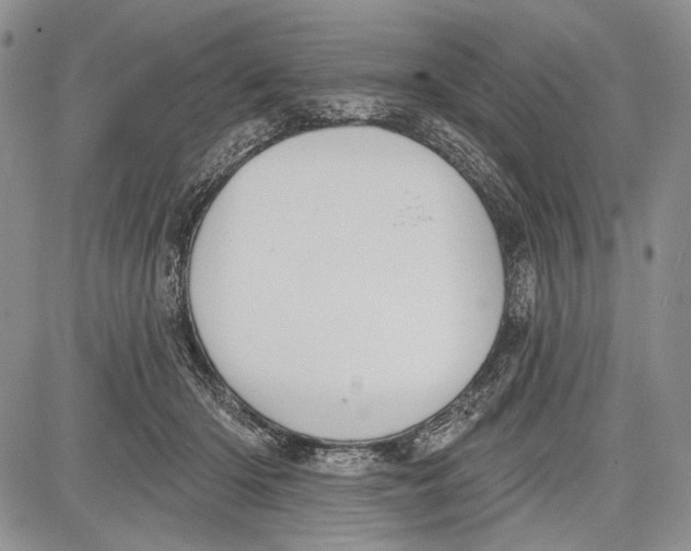 X0000081560414200702051154