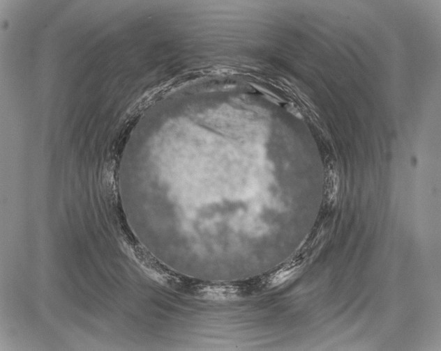 X0000081560415200702051154