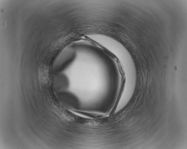 X0000081560416200702051154