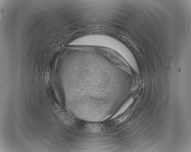 X0000081560417200702051154