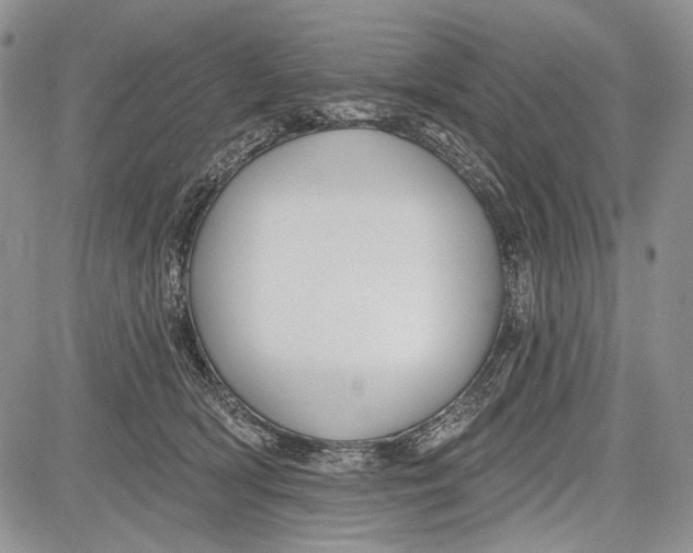 X0000081560418200702051154