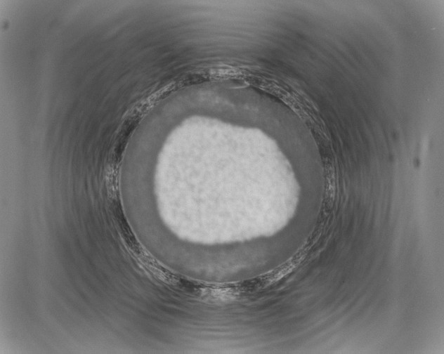 X0000081560419200702051154