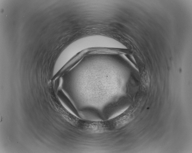 X0000081560420200702051154