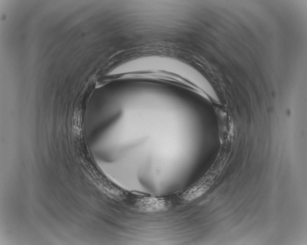 X0000081560421200702051154