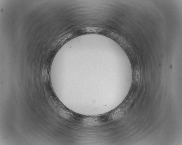 X0000081560422200702051154