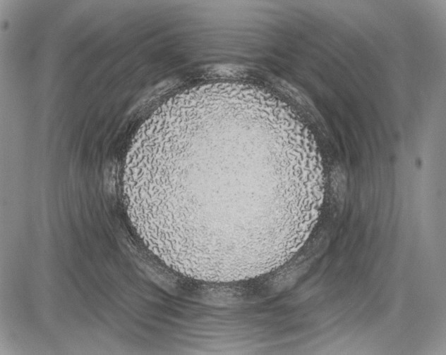 X0000081560423200702051154