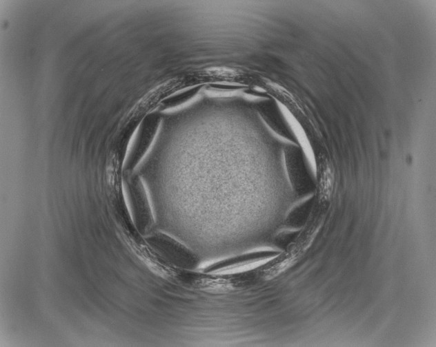 X0000081560424200702051154