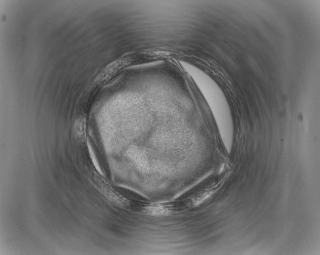 X0000081560425200702051154