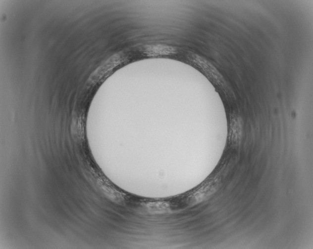 X0000081560426200702051154