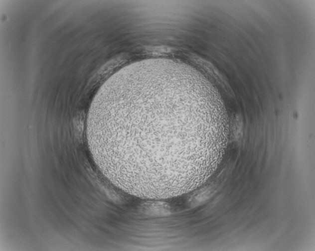 X0000081560427200702051154