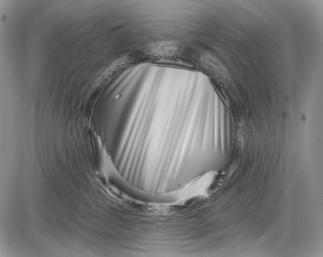 X0000081560428200702051154