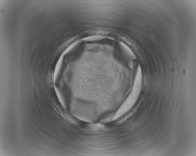 X0000081560429200702051154