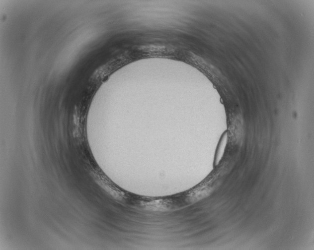 X0000081560430200702051154