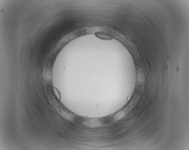 X0000081560431200702051154