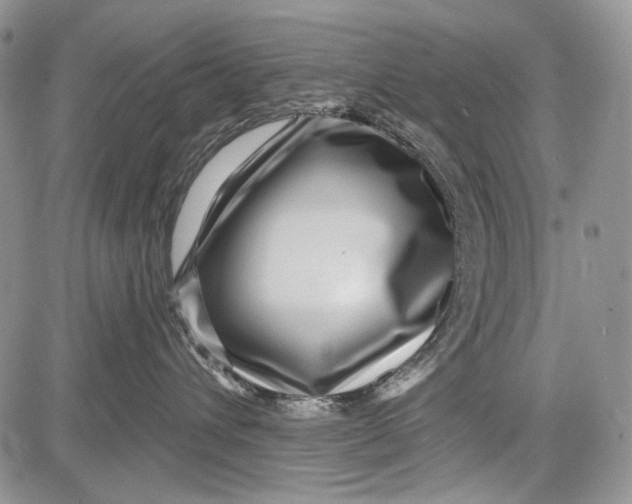 X0000081560432200702051154