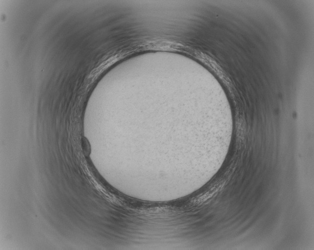 X0000081560433200702051153