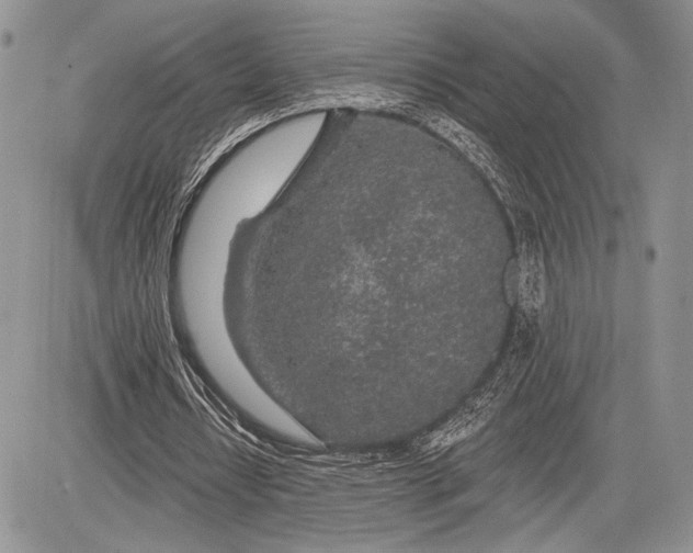 X0000081560434200702051153