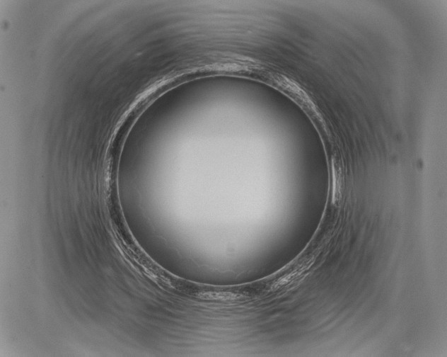 X0000081560435200702051153