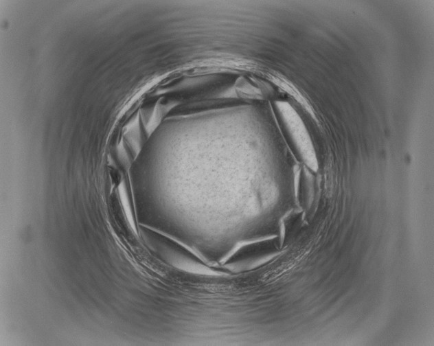 X0000081560436200702051153