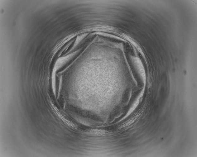 X0000081560437200702051153