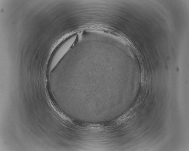 X0000081560438200702051153