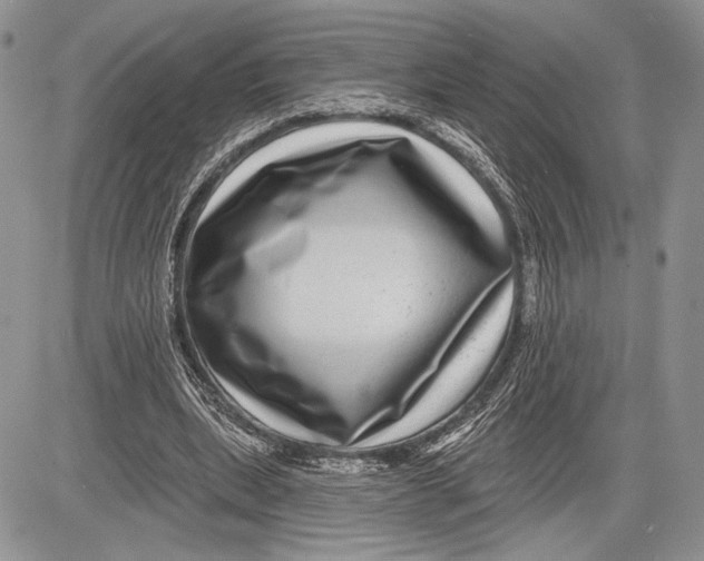 X0000081560439200702051153