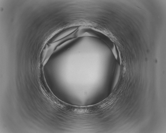 X0000081560440200702051153