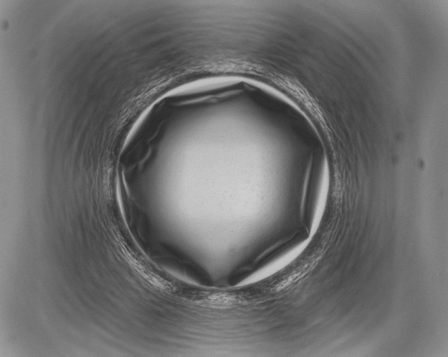 X0000081560441200702051153