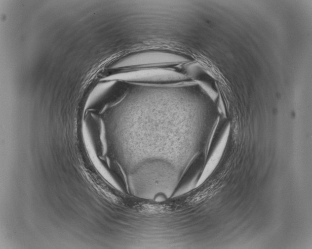 X0000081560442200702051153