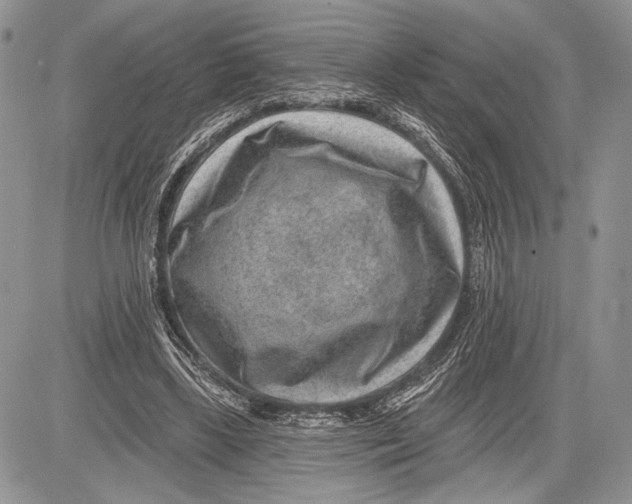 X0000081560443200702051153