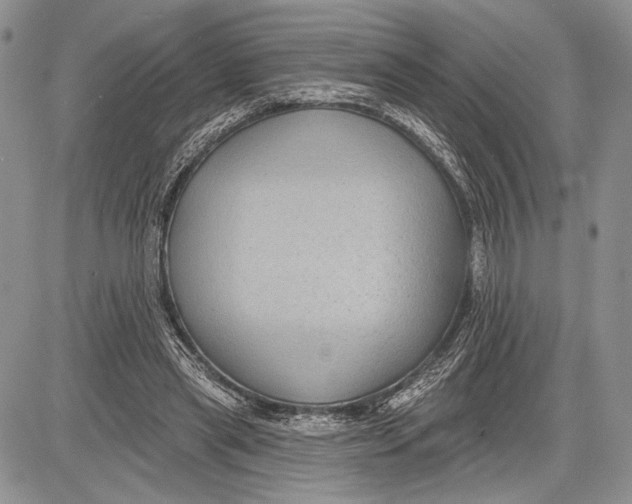 X0000081560445200702051153