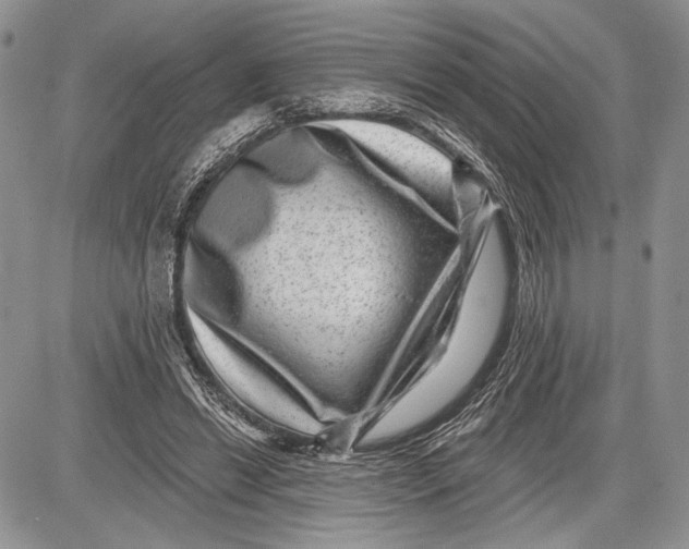 X0000081560446200702051153