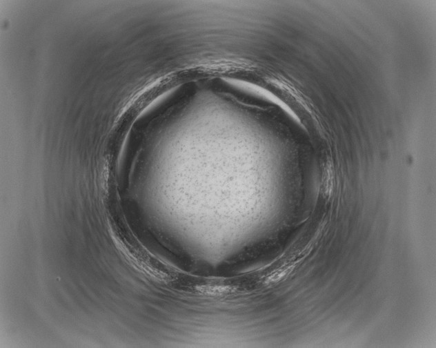 X0000081560448200702051153