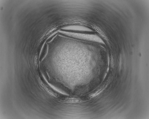 X0000081560449200702051153