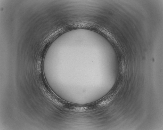 X0000081560450200702051153