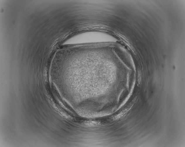 X0000081560453200702051153