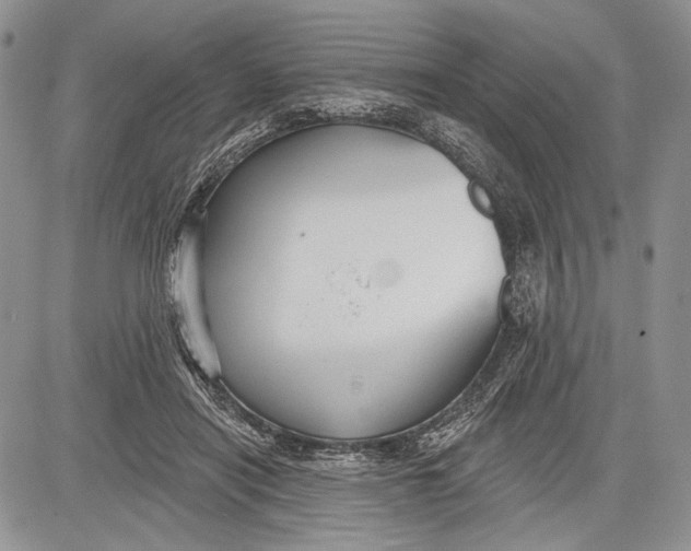 X0000081560454200702051153