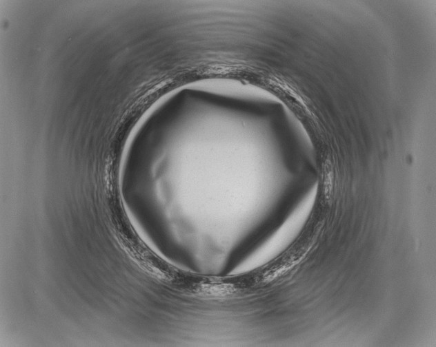 X0000081560455200702051153