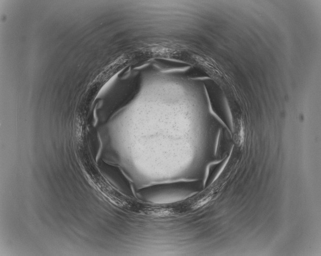 X0000081560456200702051153