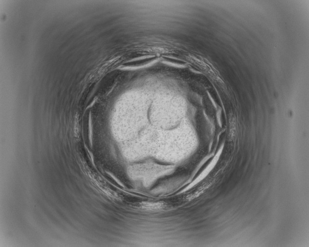 X0000081560457200702051153