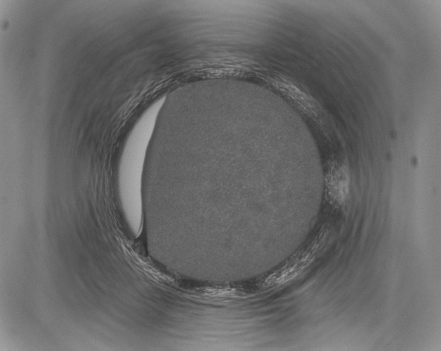 X0000081560458200702051153