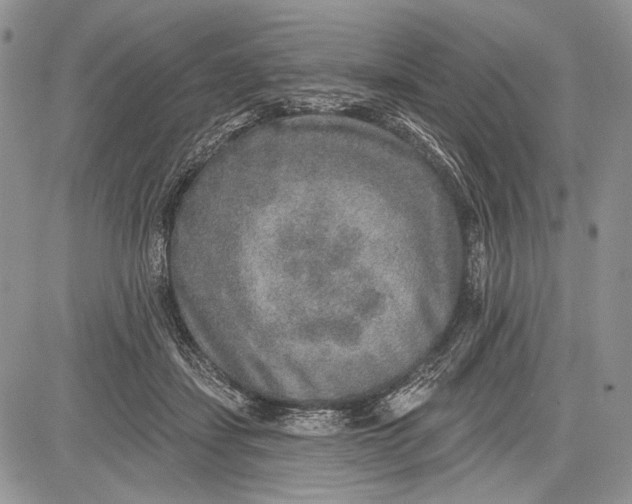 X0000081560459200702051153