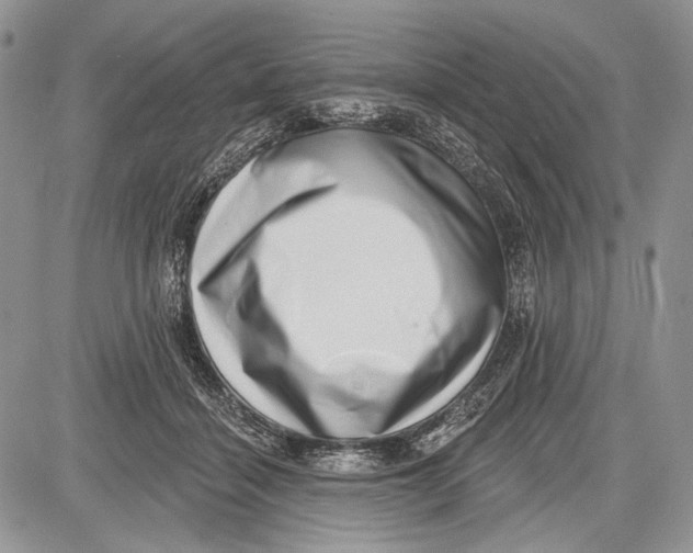 X0000081560460200702051153