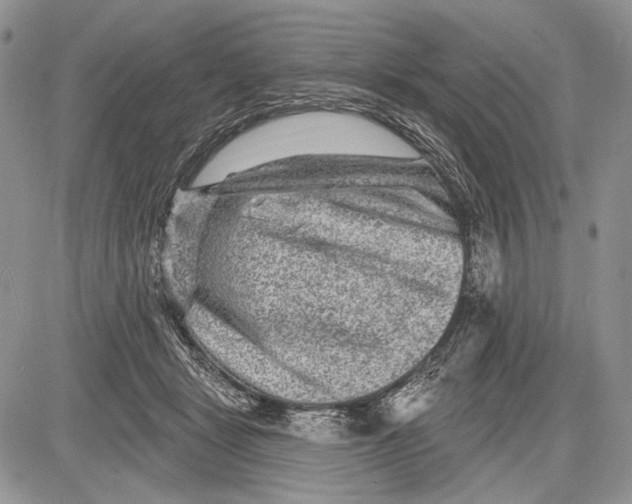 X0000081560461200702051153